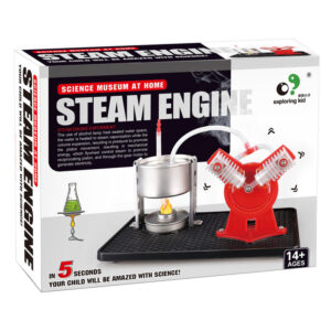 Miniature Working Steam Engine Thermodynamic Model